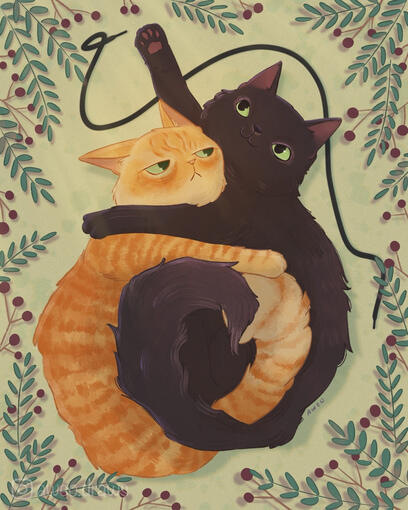 banjo and miso