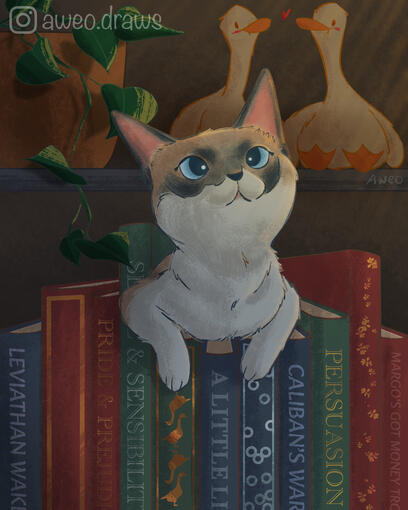 book cat