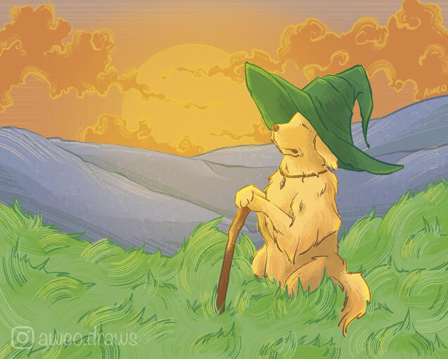 golden wizard